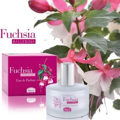Fuchsia parfüm_2