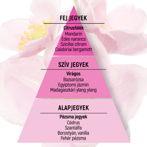 anemone rosa piramis